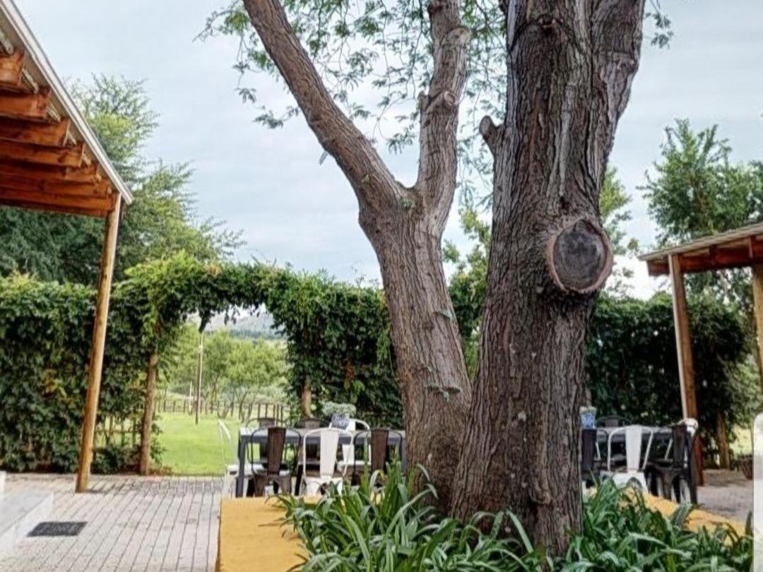 Cradle Valley Boutique Guesthouse Muldersdrift Exterior foto